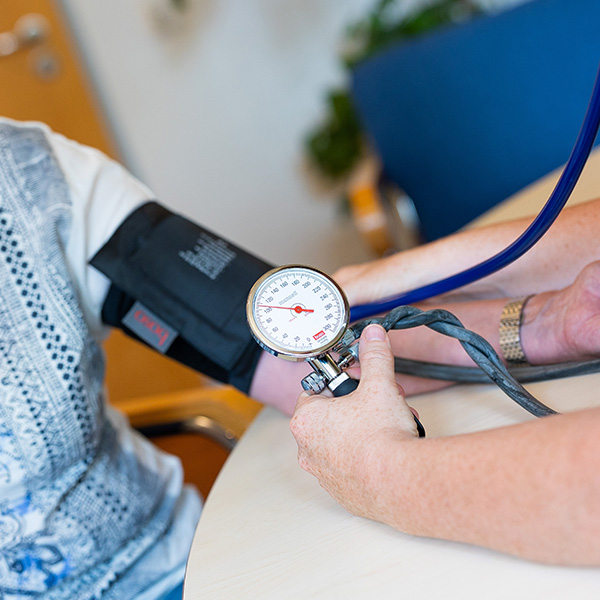 teaser-herz-kreislauf